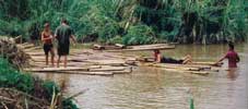 Our Bamboo Raft, at the end of the trip (the rightermost). Click for bigger picture