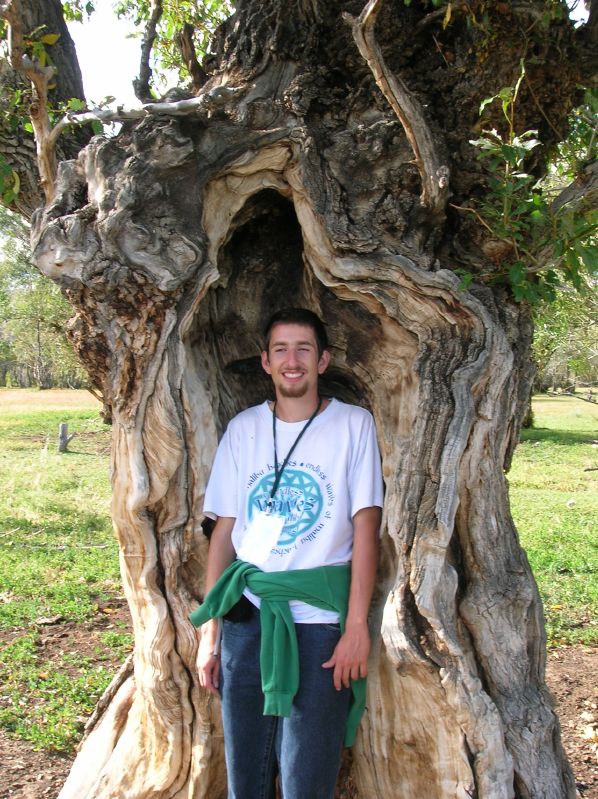 Day 2: Strange tree