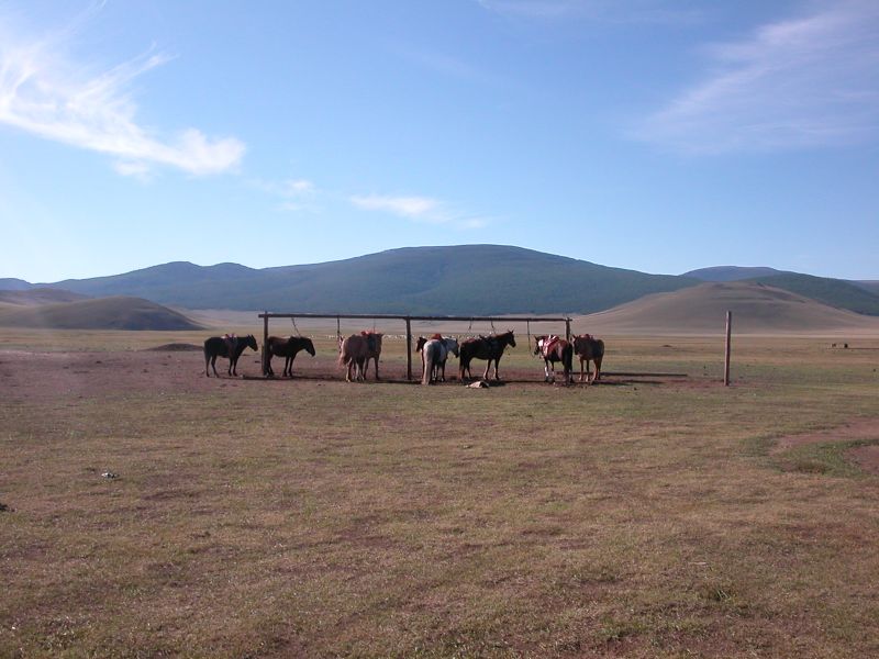 Day 3: The horses for today's journey