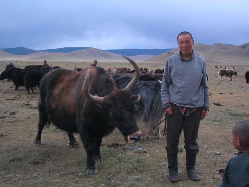 Day 4: Catching an Ox