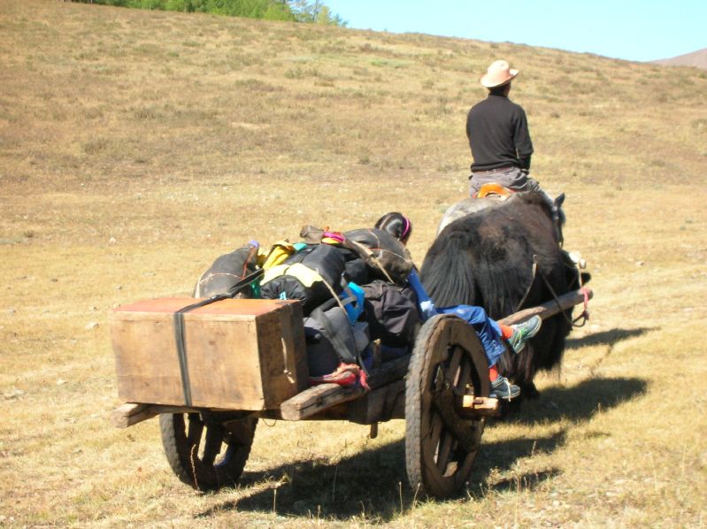 Day 5: Fully loaded yak-cart