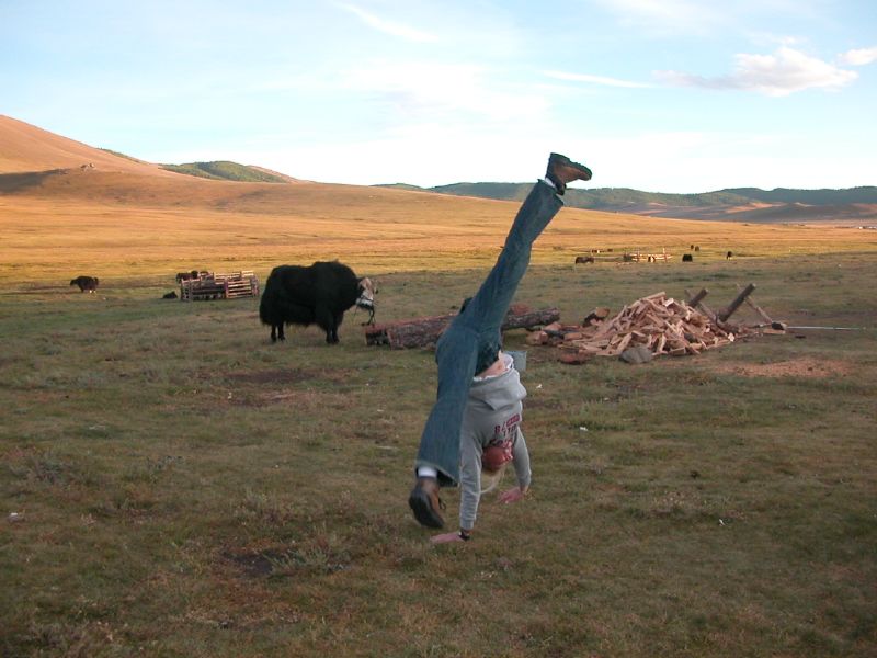 Day 5: Kris presenting a cartwheel