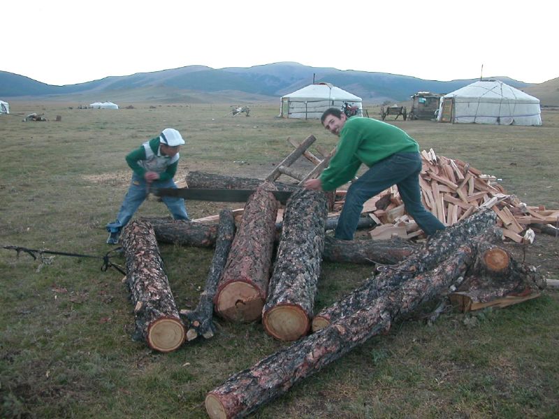 Day 5: Cutting up wood