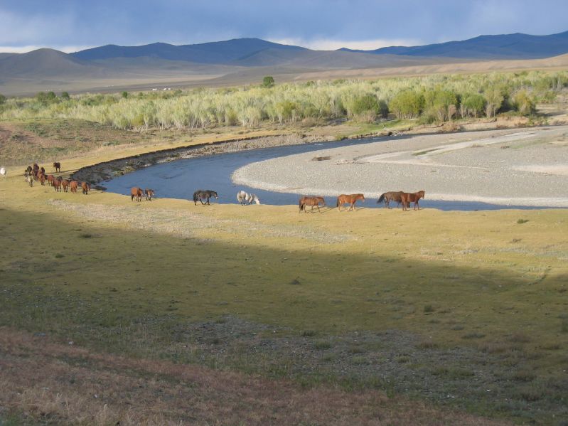 Day 6: Return of the horses