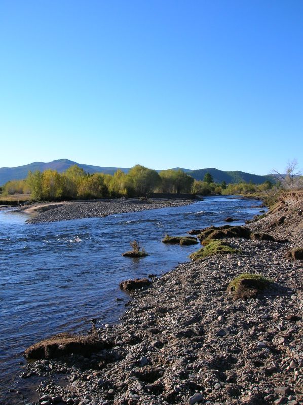 Day 7: The river in the morning