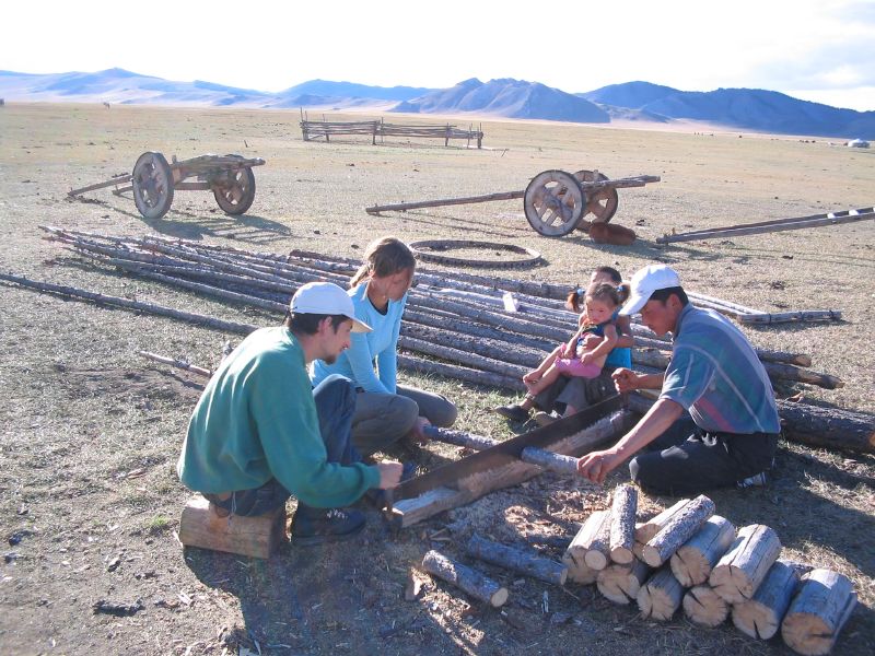Day 7: Cutting wood