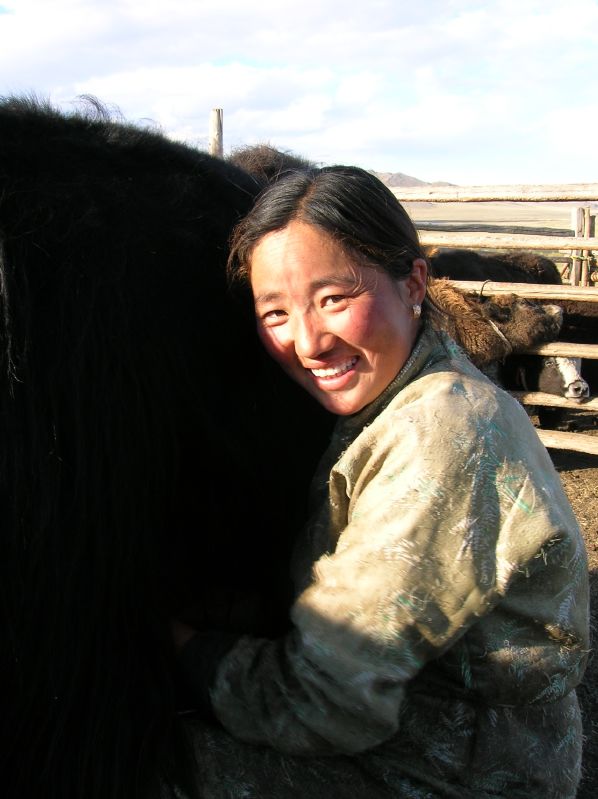 Day 7: Milking a yak