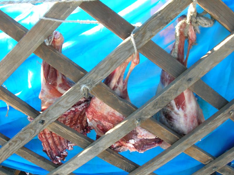 Day 8: Drying meat