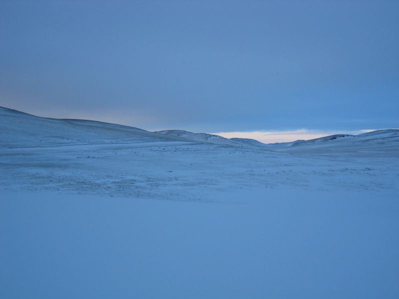 Snowcovered Landscape