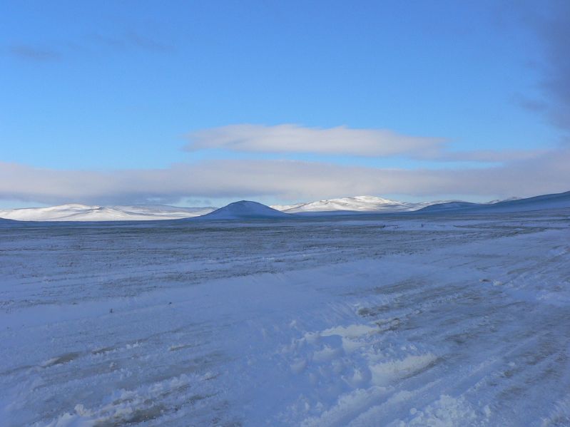 Snowcovered Landscape