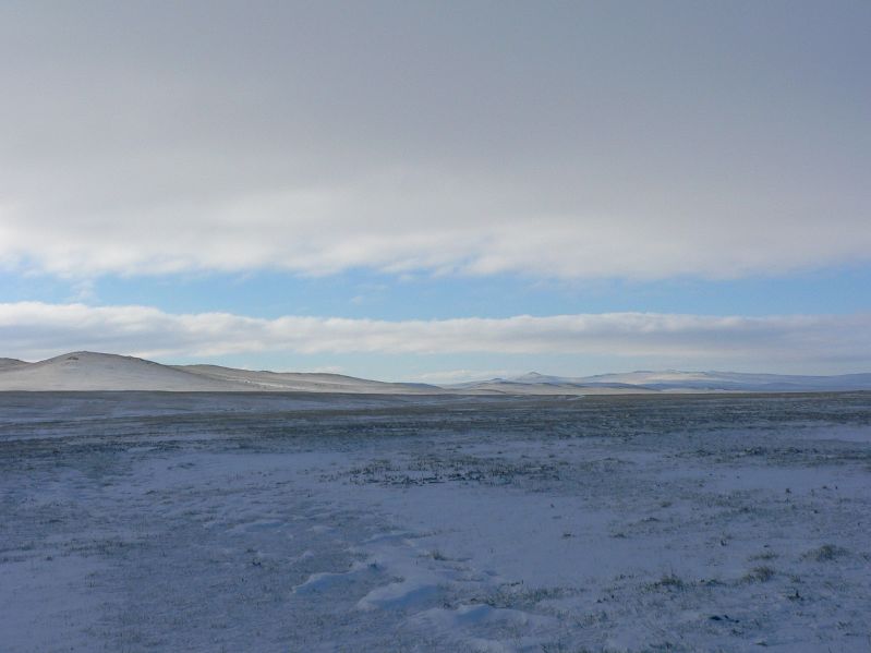 Snowcovered Landscape