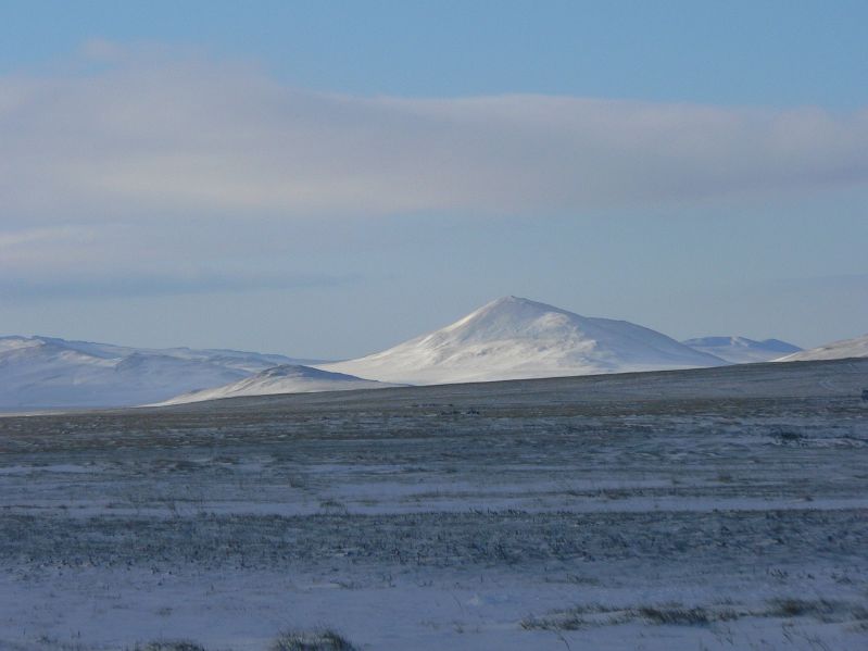 Snowcovered Landscape