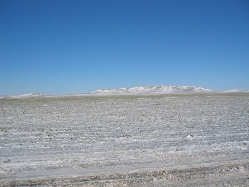 Snowcovered Landscape