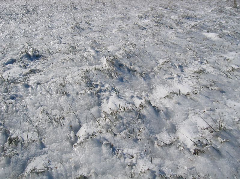Icecovered Landscape