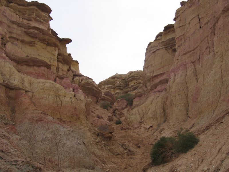 Tsagaan Suvarga