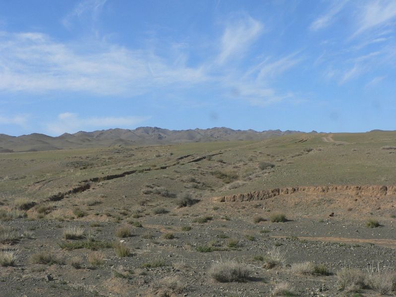 Plains