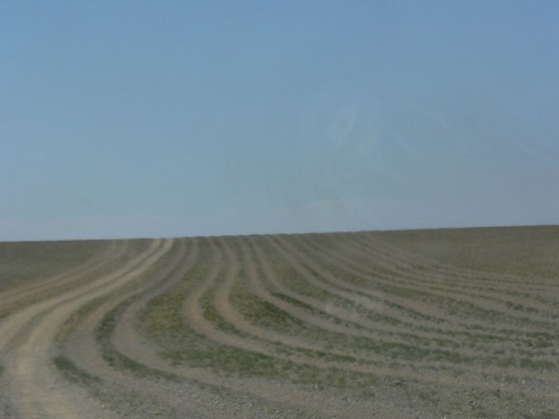 Tracks leading to the sanddunes