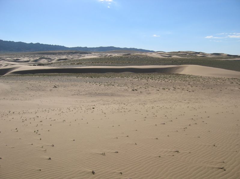 Sanddunes