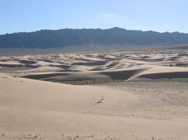 Sanddunes