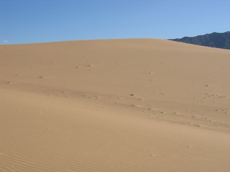 Sanddunes