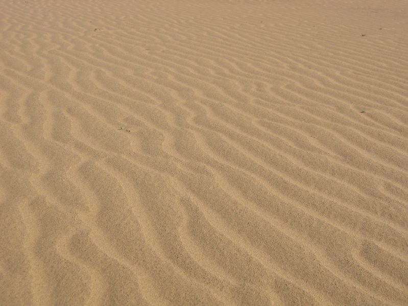 Sanddunes