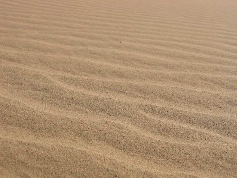 Sanddunes