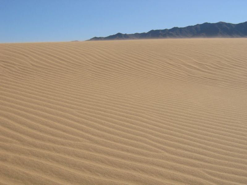 Sanddunes