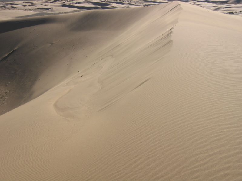 Sanddunes