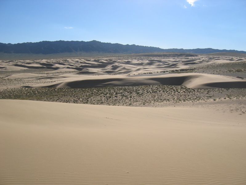 Sanddunes