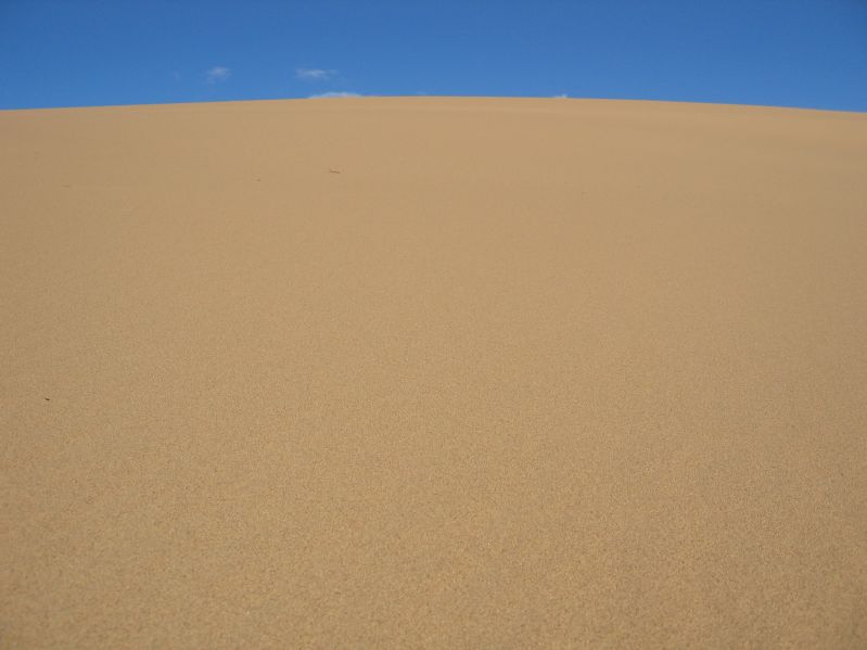 Sanddunes