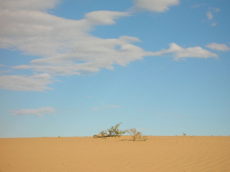 Sanddunes