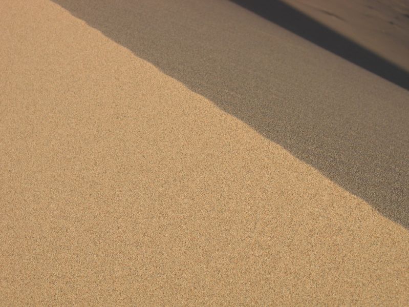 Sanddunes