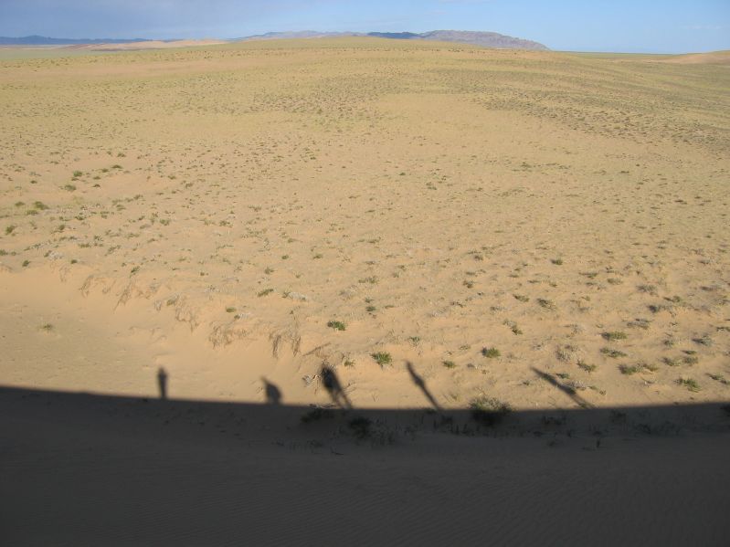 Sanddunes