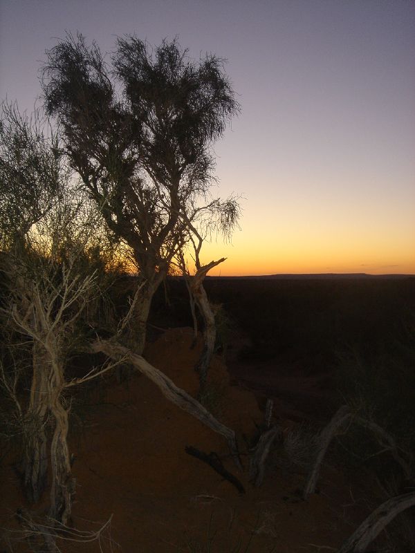 Sunrise