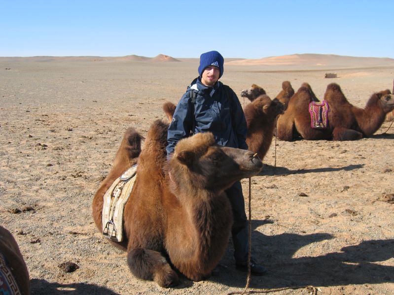 Camel