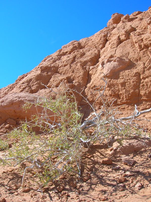 Rock formation