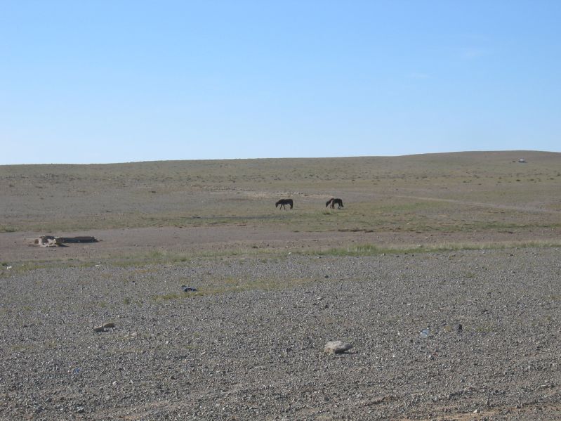 Plains