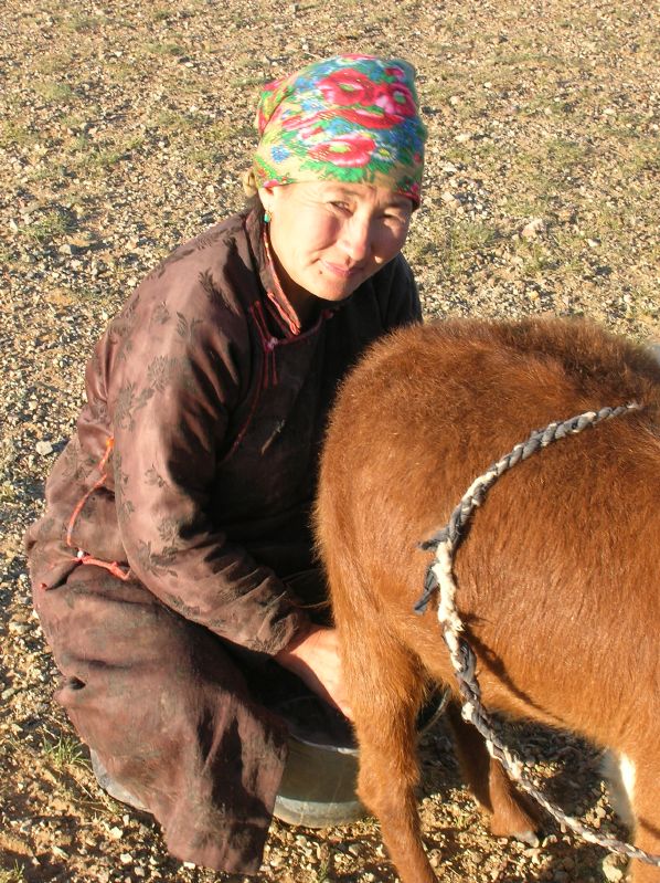Milking the Goats