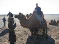 David on a Camel