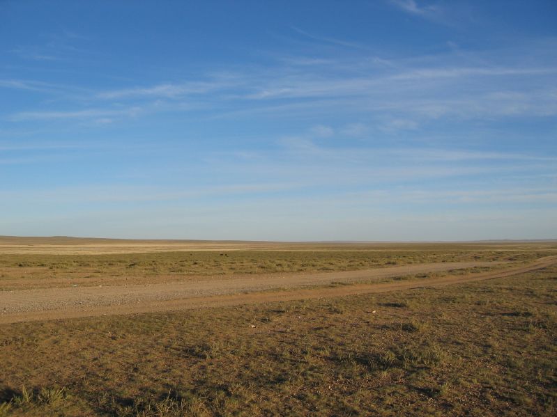 Gobi revisited