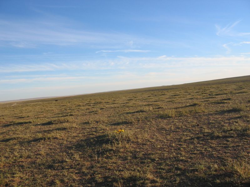 Gobi revisited