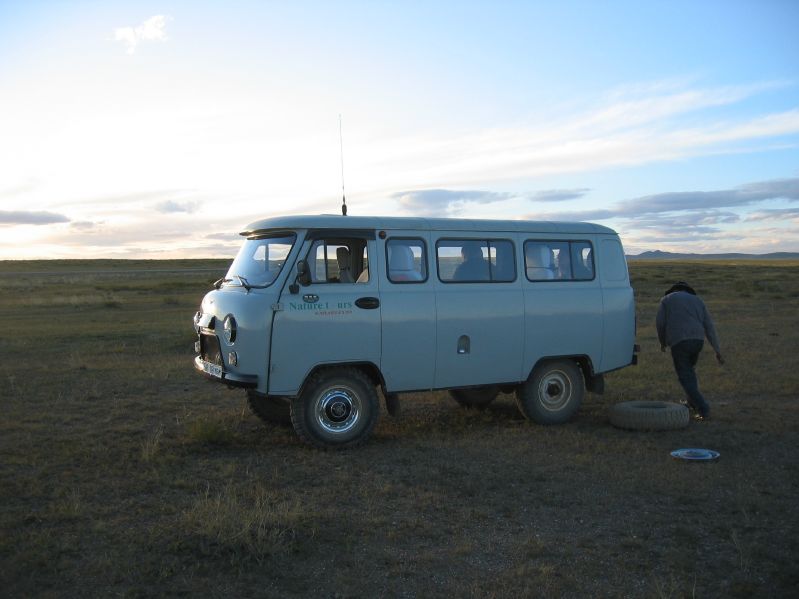Gobi revisited