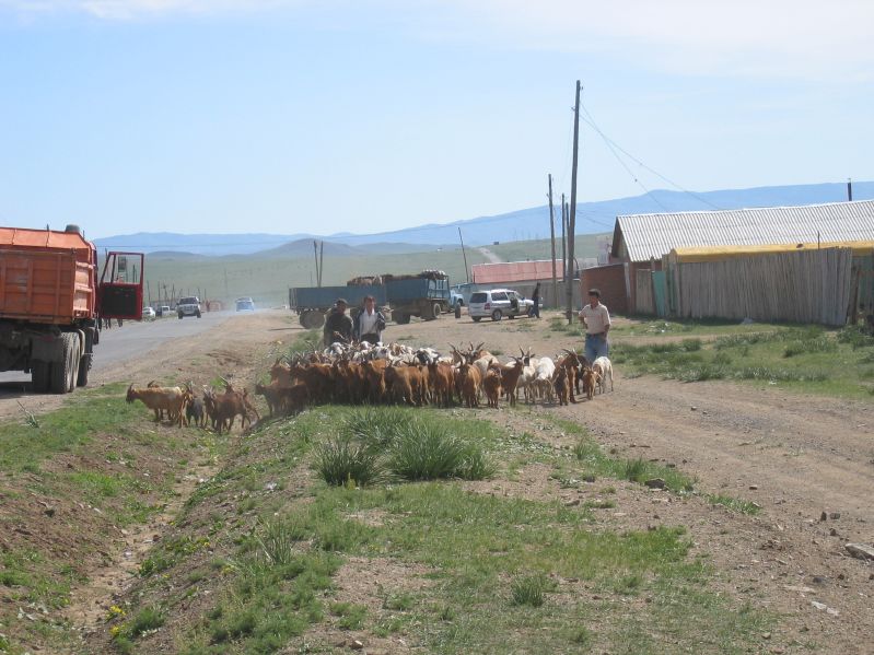 on the way to Terelj National Park