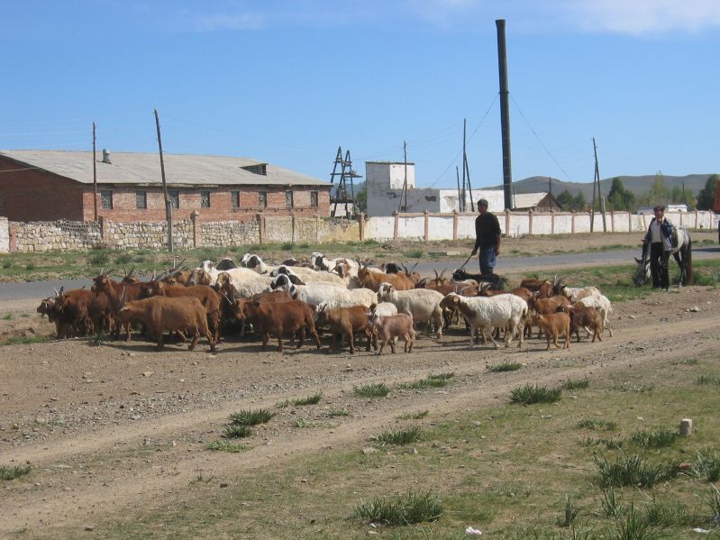 on the way to Terelj National Park