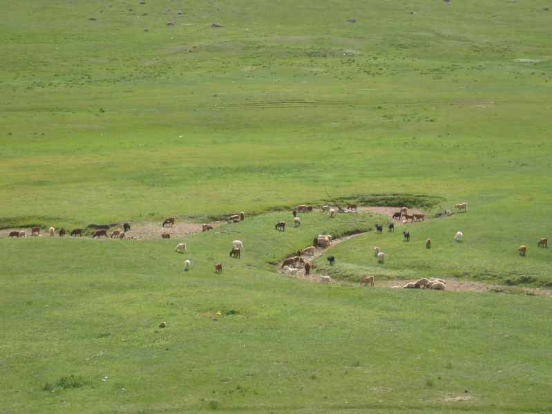 Terelj National Park