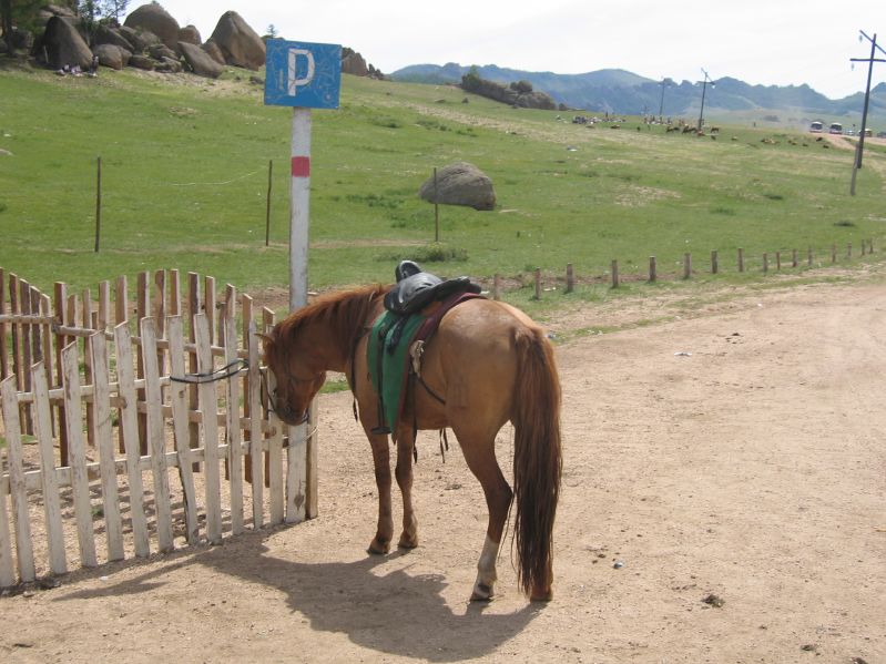 Terelj National Park