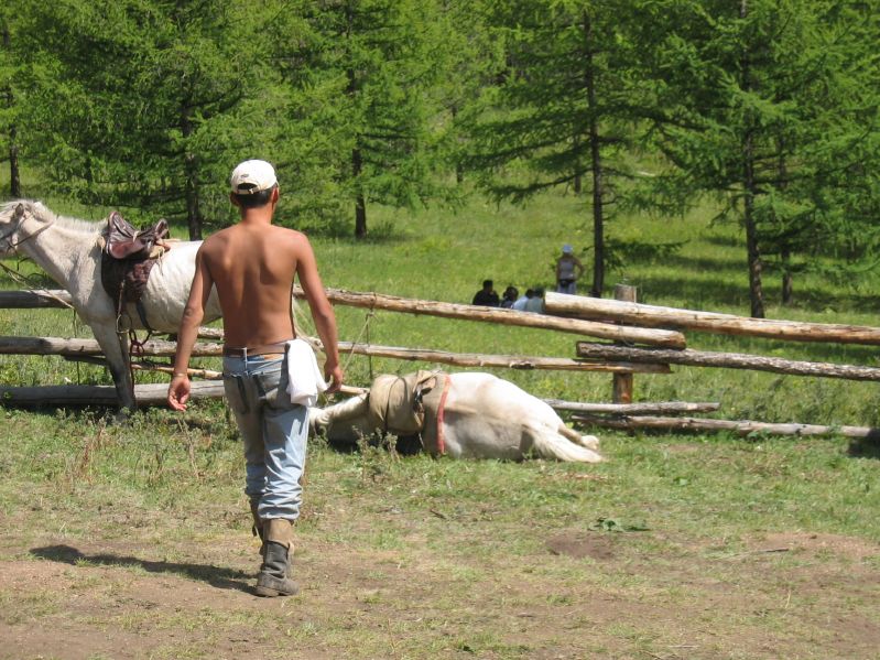 Terelj National Park