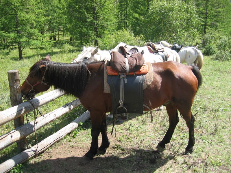 Terelj National Park