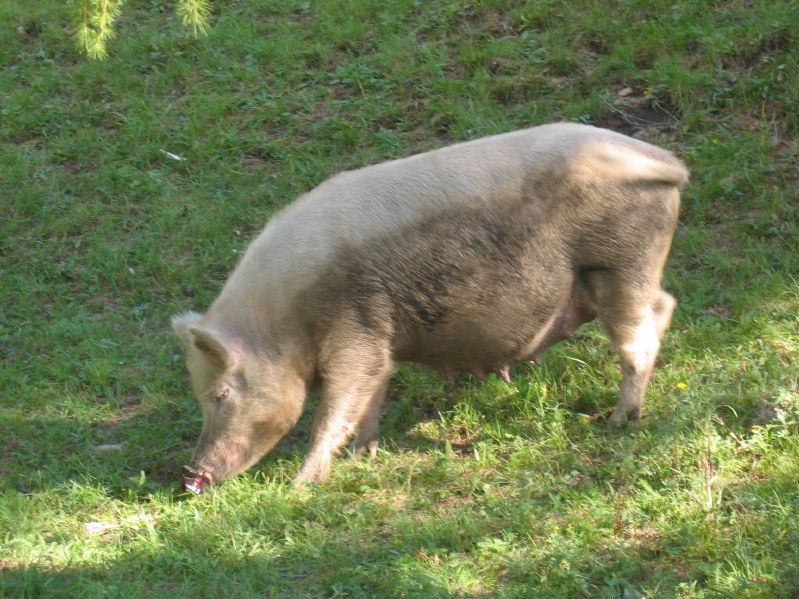 Terelj National Park