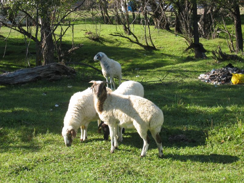Terelj National Park
